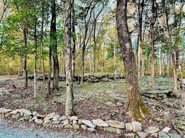 1150 Deer Run Rd, Murfreesboro, TN 37128 - view of wooded area