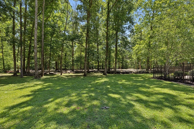 1150 Deer Run Rd, Murfreesboro, TN 37128 - view of yard