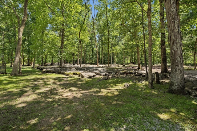 1150 Deer Run Rd, Murfreesboro, TN 37128 - view of yard