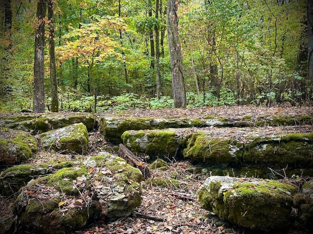 1150 Deer Run Rd, Murfreesboro, TN 37128 - view of tree filled area