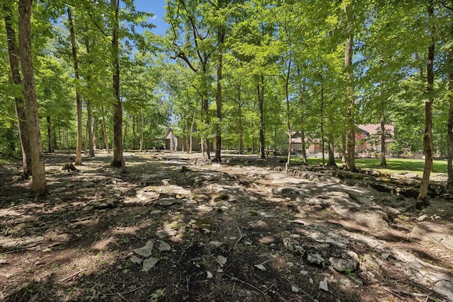 1150 Deer Run Rd, Murfreesboro, TN 37128 - view of local wilderness