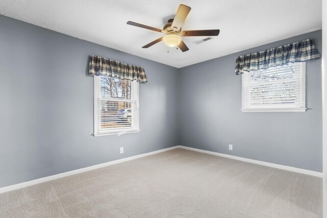 109 Preston Dr, Clarksville, TN 37042 - photo 15