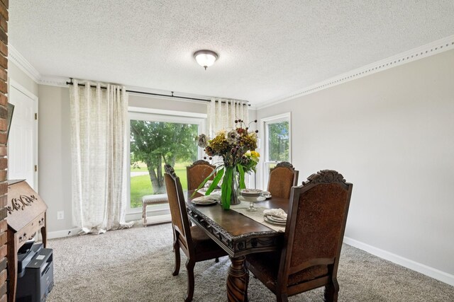 1830 Bethbirei Rd, Lewisburg, TN 37091 - photo 18