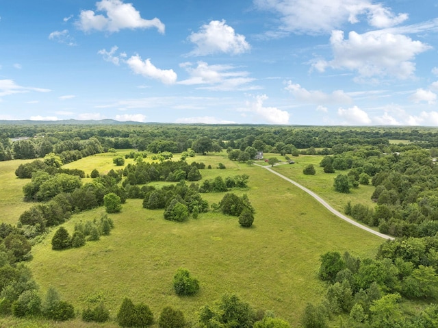 1830 Bethbirei Rd, Lewisburg, TN 37091 - photo 64