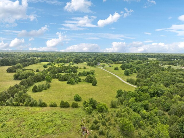 1830 Bethbirei Rd, Lewisburg, TN 37091 - photo 63