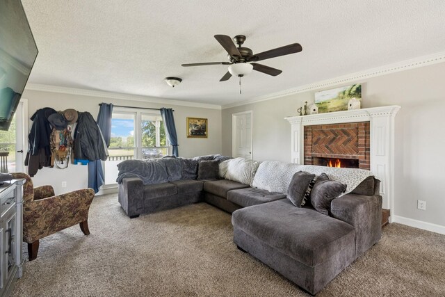 1830 Bethbirei Rd, Lewisburg, TN 37091 - photo 9