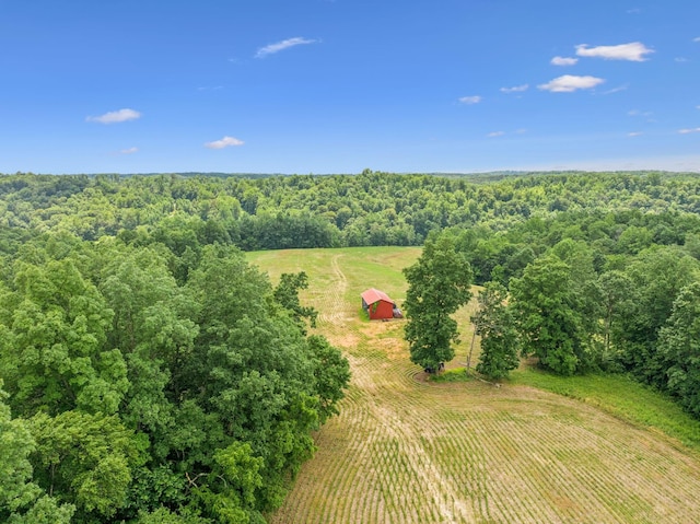 8663 Dog Creek Rd, Primm Springs, TN 38476 - view of rural area featuring a heavily wooded area