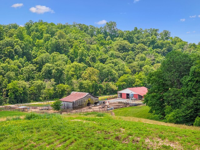 8663 Dog Creek Rd, Primm Springs, TN 38476 - view from above of property with a heavily wooded area
