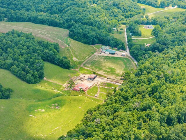 8663 Dog Creek Rd, Primm Springs, TN 38476 - aerial overview of property's location featuring rural landscape and a forest