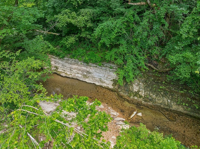 8663 Dog Creek Rd, Primm Springs, TN 38476 - view of yard