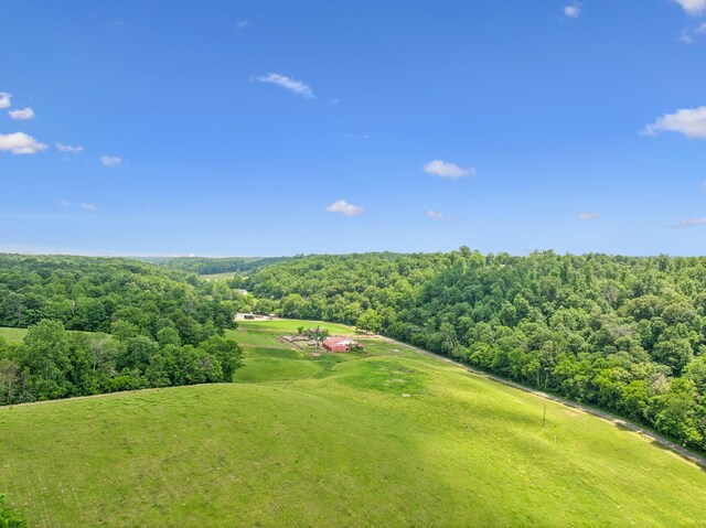 8663 Dog Creek Rd, Primm Springs, TN 38476 - bird's eye view of a forest and a golf course