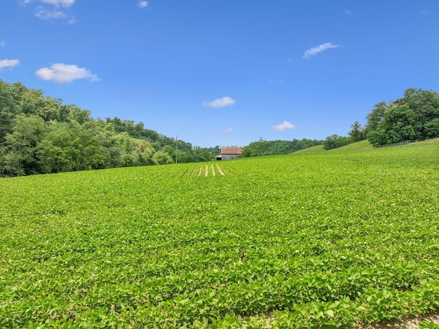 8663 Dog Creek Rd, Primm Springs, TN 38476 - view of yard featuring a view of rural / pastoral area