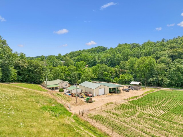 8663 Dog Creek Rd, Primm Springs, TN 38476 - overview of rural landscape