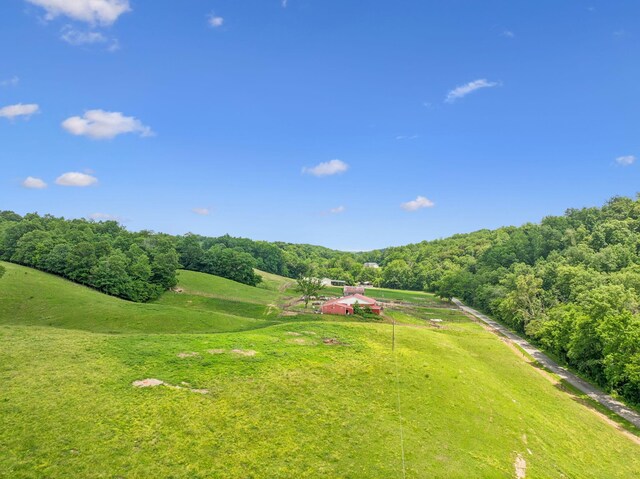 8663 Dog Creek Rd, Primm Springs, TN 38476 - drone / aerial view of a forest