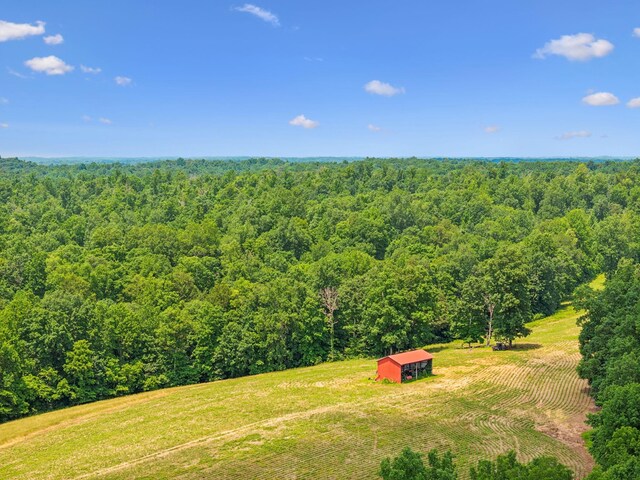 8663 Dog Creek Rd, Primm Springs, TN 38476 - view of yard featuring a wooded view, an outdoor structure, an outbuilding, and a view of countryside