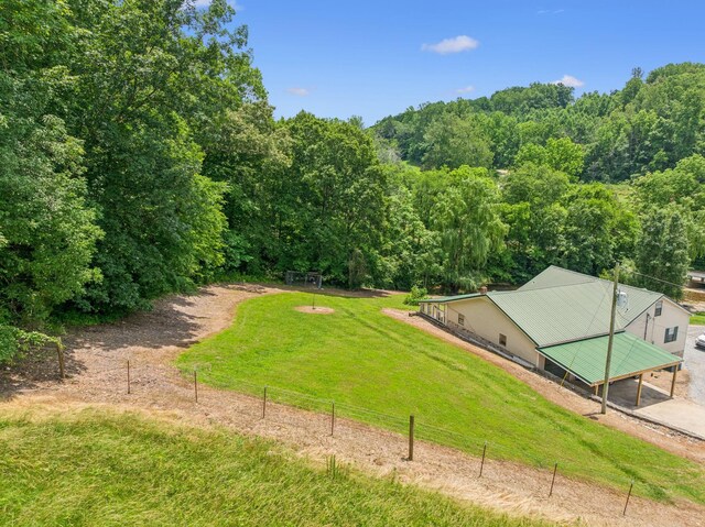 8663 Dog Creek Rd, Primm Springs, TN 38476 - view of yard featuring a carport and a wooded view