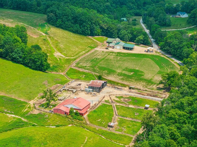 8663 Dog Creek Rd, Primm Springs, TN 38476 - aerial view of property's location with rural landscape