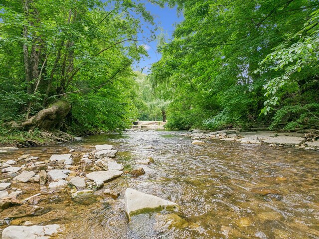 8663 Dog Creek Rd, Primm Springs, TN 38476 - water view
