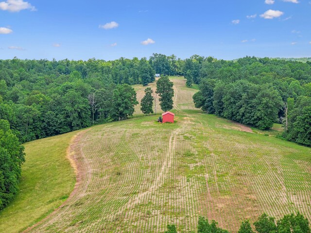 8663 Dog Creek Rd, Primm Springs, TN 38476 - view of rural area