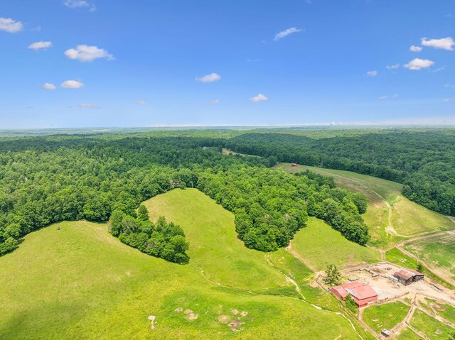 8663 Dog Creek Rd, Primm Springs, TN 38476 - bird's eye view of a heavily wooded area