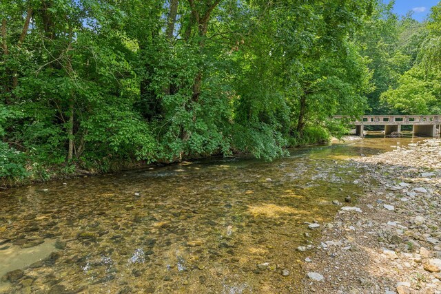 8663 Dog Creek Rd, Primm Springs, TN 38476 - view of yard with a wooded view