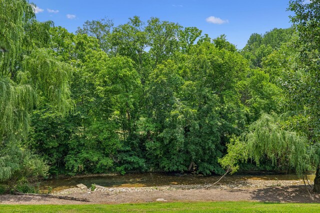 8663 Dog Creek Rd, Primm Springs, TN 38476 - view of yard with a wooded view