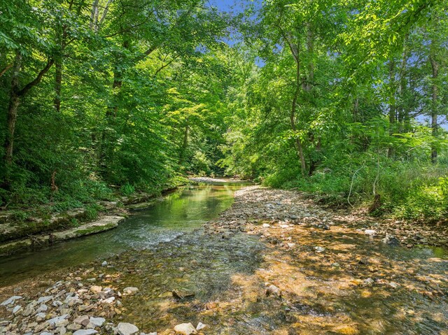 8663 Dog Creek Rd, Primm Springs, TN 38476 - view of wooded area