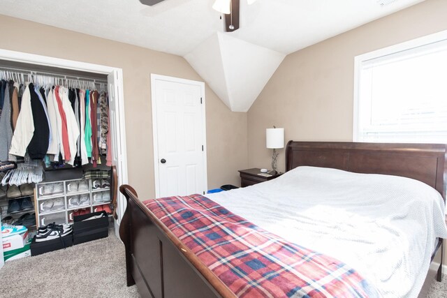 206 Applewood Dr, White House, TN 37188 - photo 48