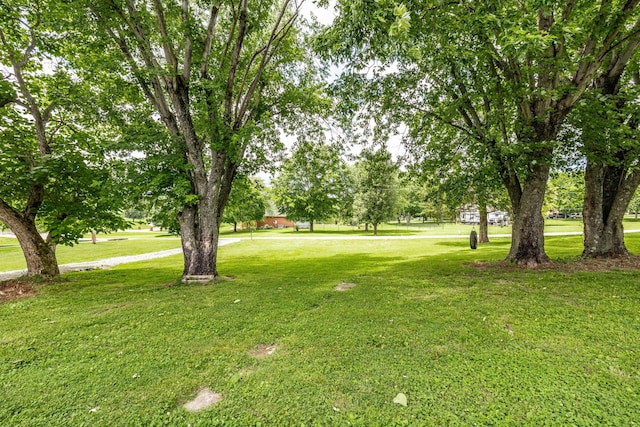 1108 Pruitt Ln, Gallatin, TN 37066 - view of grassy yard
