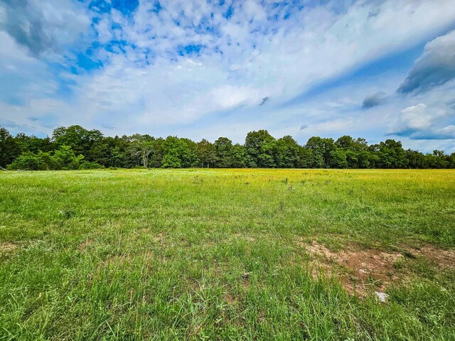 0 Clem Creek Rd, Chapel Hill, TN 37034 - photo 12