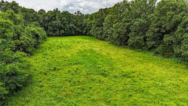 0 Clem Creek Rd, Chapel Hill, TN 37034 - photo 14