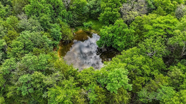 0 Clem Creek Rd, Chapel Hill, TN 37034 - photo 5