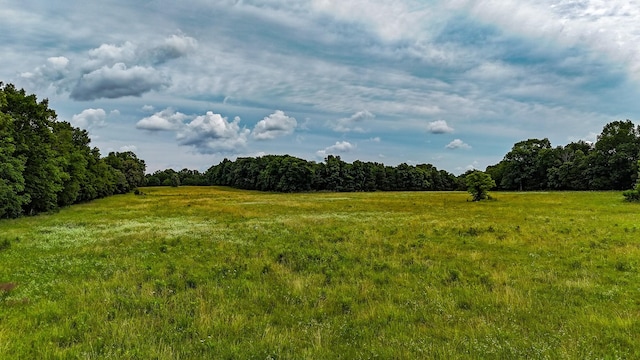 0 Clem Creek Rd, Chapel Hill, TN 37034 - photo 11