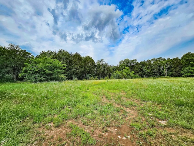 0 Clem Creek Rd, Chapel Hill, TN 37034 - photo 21