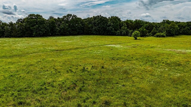 0 Clem Creek Rd, Chapel Hill, TN 37034 - photo 13