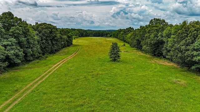 0 Clem Creek Rd, Chapel Hill, TN 37034 - photo 7