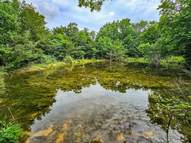 0 Clem Creek Rd, Chapel Hill, TN 37034 - photo 4