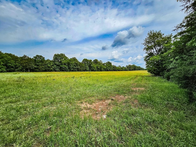 0 Clem Creek Rd, Chapel Hill, TN 37034 - photo 20