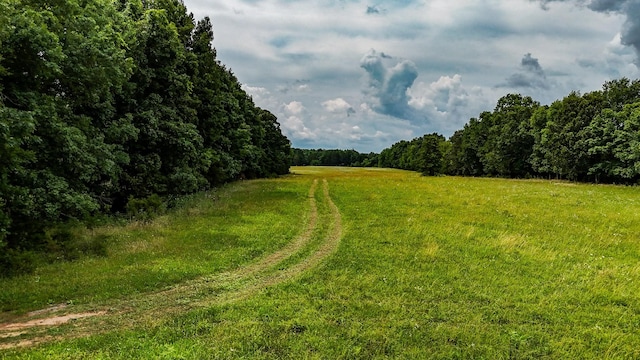 0 Clem Creek Rd, Chapel Hill, TN 37034 - photo 10