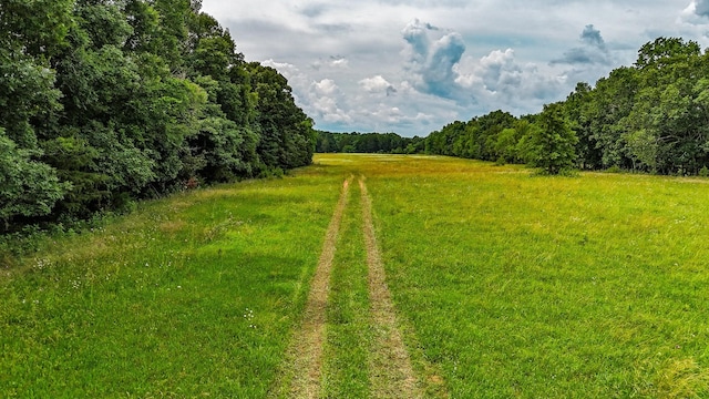 0 Clem Creek Rd, Chapel Hill, TN 37034 - photo 9