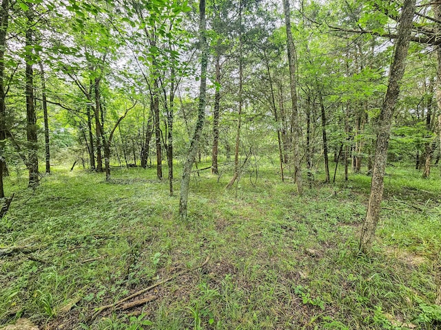 0 Clem Creek Rd, Chapel Hill, TN 37034 - photo 23