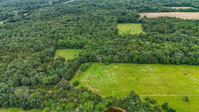 0 Clem Creek Rd, Chapel Hill, TN 37034 - photo 17
