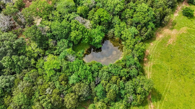 0 Clem Creek Rd, Chapel Hill, TN 37034 - photo 6