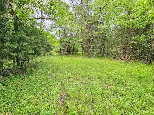 0 Clem Creek Rd, Chapel Hill, TN 37034 - photo 25