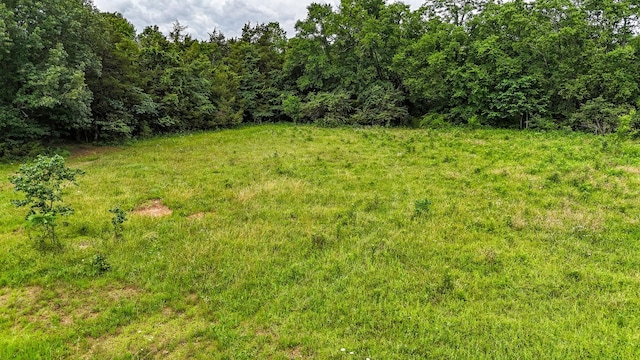 0 Clem Creek Rd, Chapel Hill, TN 37034 - photo 15