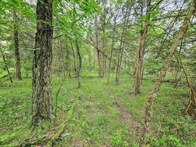 0 Clem Creek Rd, Chapel Hill, TN 37034 - photo 19