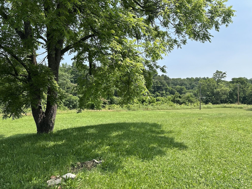 221 Carroll Ave, Waverly, TN 37185