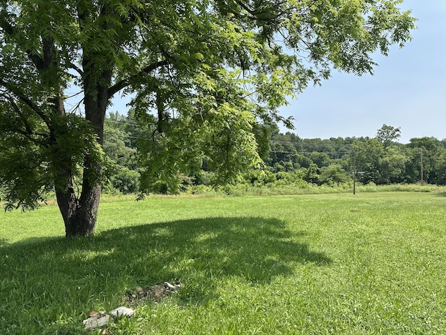 221 Carroll Ave, Waverly, TN 37185