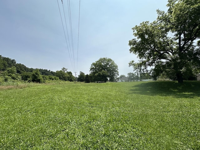221 Carroll Ave, Waverly, TN 37185