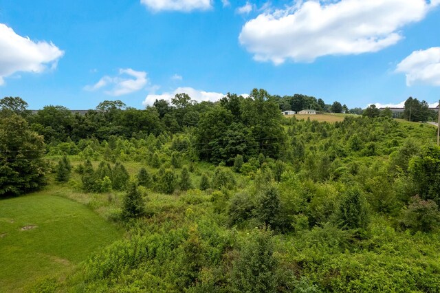 0 Mccormick Ridge Rd, Whitleyville, TN 38588